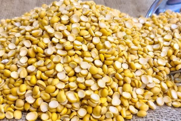 تصویر 4 از قیمت خرید لپه درجه یک آذرشهر با فروش عمده